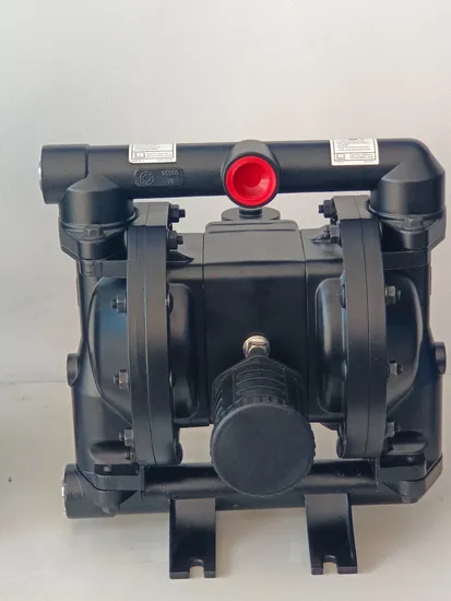 Pompe à diaphragme pneumatique